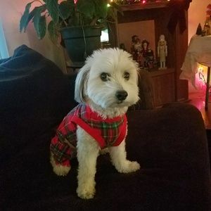 Meet your Posher, Tanya